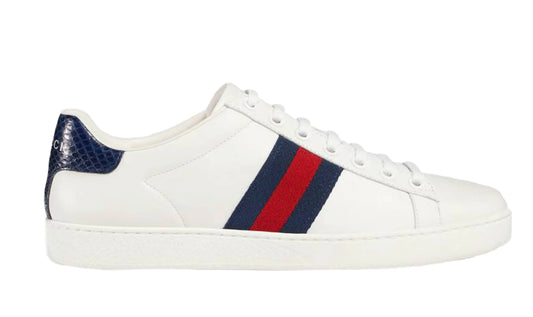 Gucci Ace Sneaker BLUE